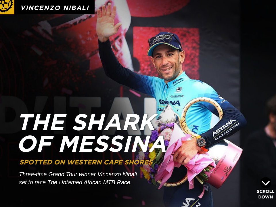 Nibali The Shark of Messina tee